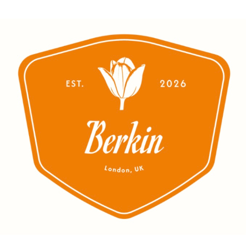 Berkin Solutions Limited logo